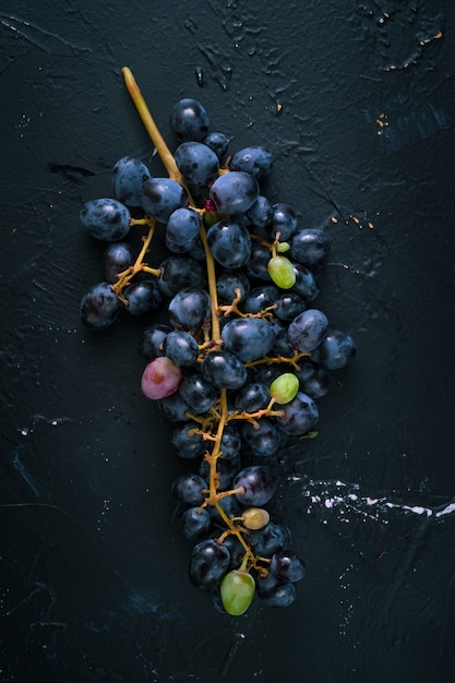 Bunch of blue grapes on dark blue background