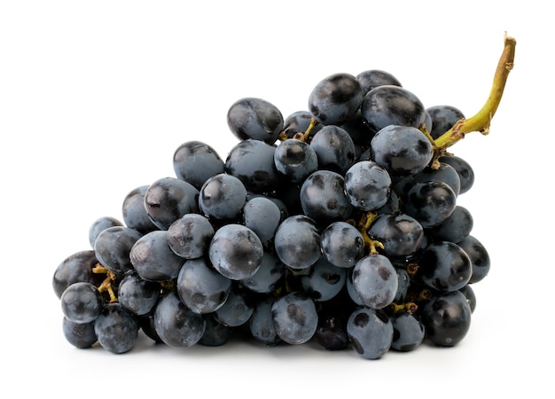 Bunch of blue grapes on a white background