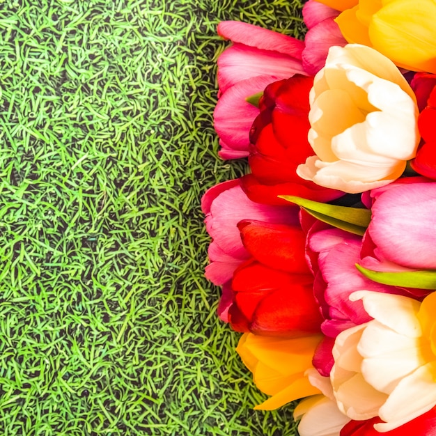 A bunch of bright fresh colorful tulips on a grass background