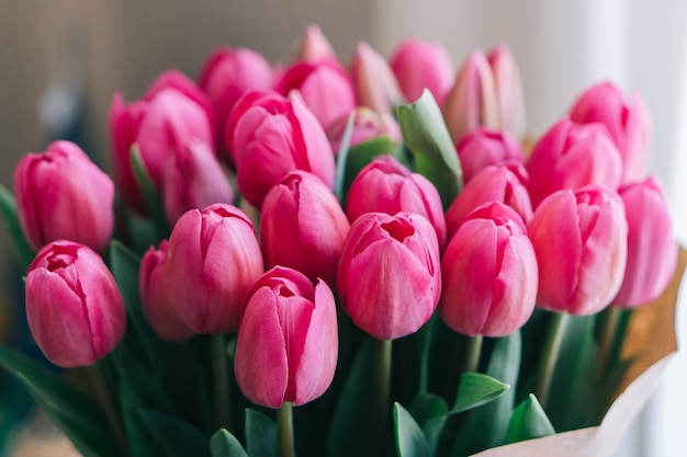 Bunch of bright pink tulips