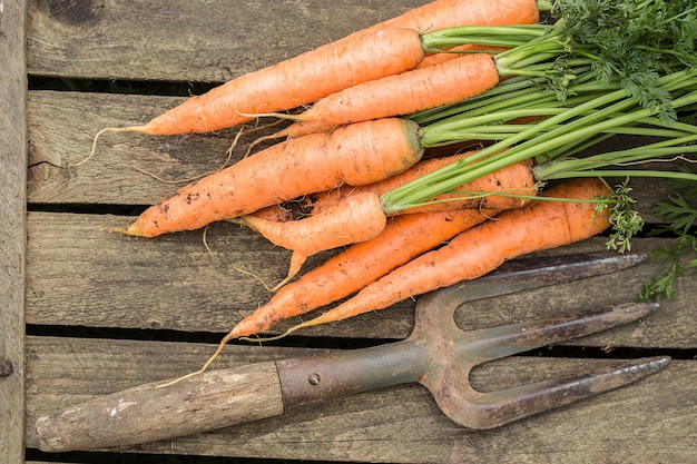 Bunch of carrots on old cutting board