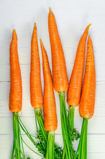 A bunch of carrots on white