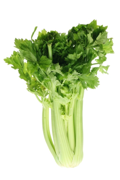 Bunch of Celery