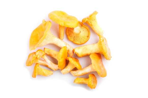 Bunch of chanterelle mushrooms isolated on white background. top view, close up.