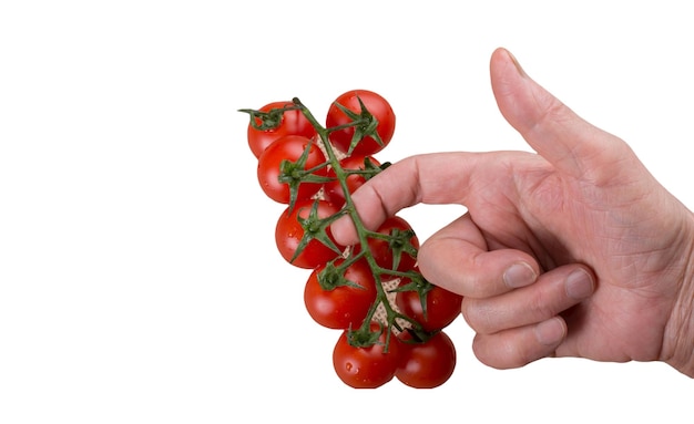 흰색 배경에 고립 된 체리 토마토와 잎 토마토의 무리