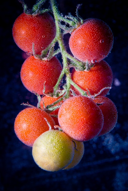 Bunch of cherry tomatos