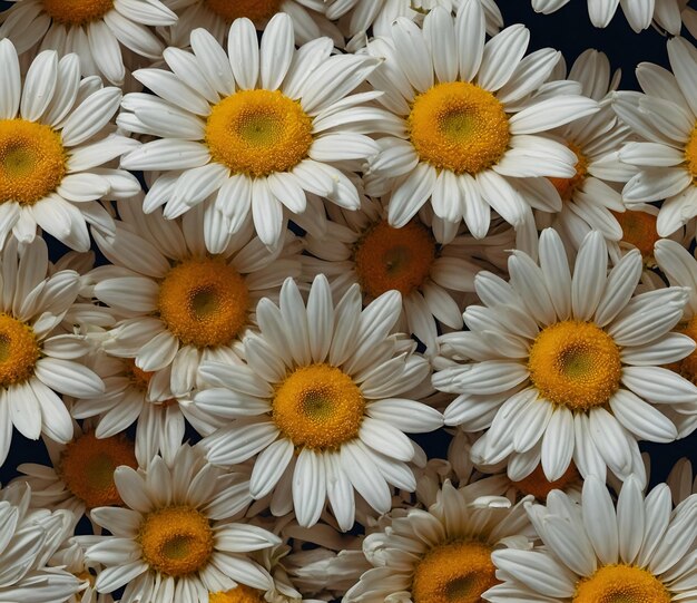 A bunch of daisies are shown in a bouquet