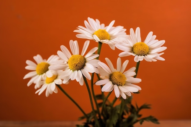 A bunch of daisies in a glass vase against an orange background.