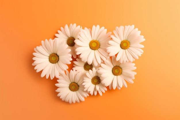 A bunch of daisies on an orange background