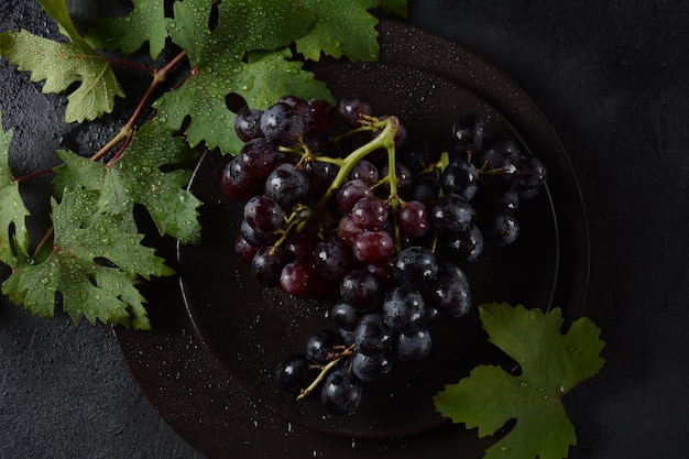 Bunch of dark blue / black grapes  with leaves  on black background