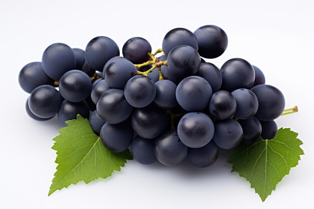 Bunch of dark blue grapes on white