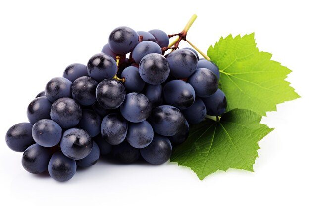 Bunch of dark blue grapes on white