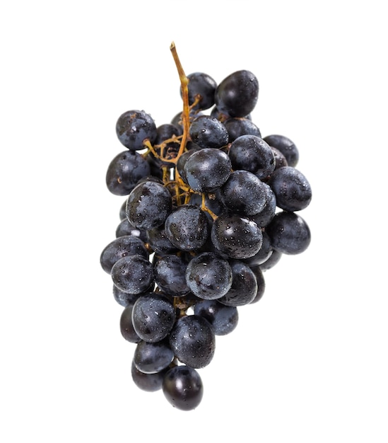 Гроздь темного винограда с каплями воды на белом фоне