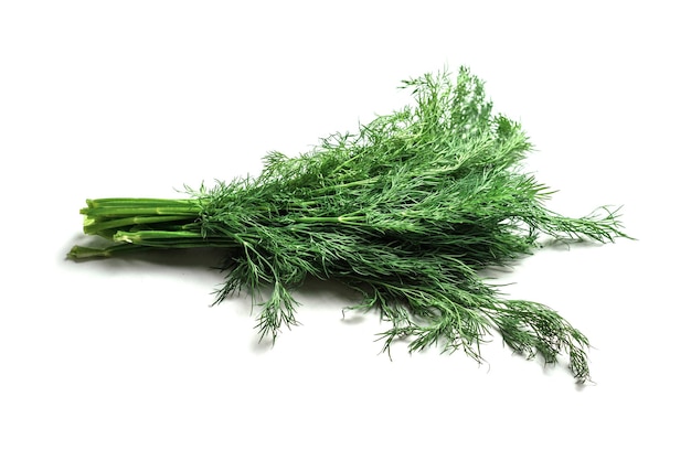 A bunch of dill isolated on white background