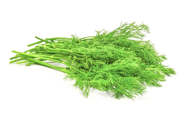 Bunch dill isolated on white background