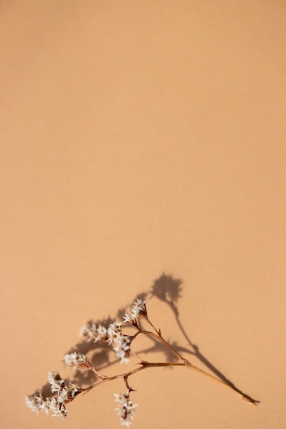 Bunch of dried flax closeup view Sadness autumn melancholy depression concept