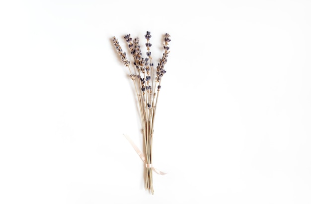 A bunch of dried lavender twigs on white background Flat lay