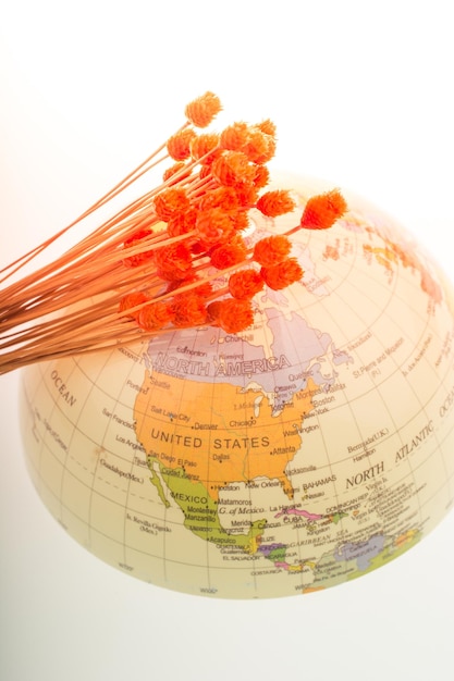 Photo bunch of dried orange color flower on half a globe