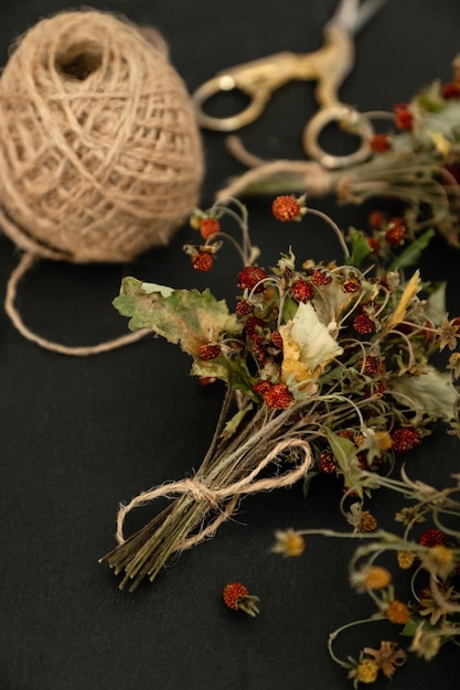 Bunch of dried wild strawberry twigs with berries Herbal medicine remedy