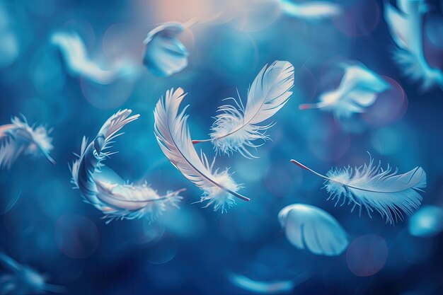 空中に浮かぶ青と白の羽毛を持つ羽毛の束