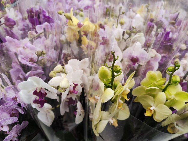 A bunch of flowers that are on display for sale