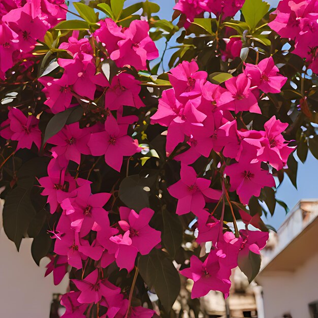 a bunch of flowers that are hanging from a fence