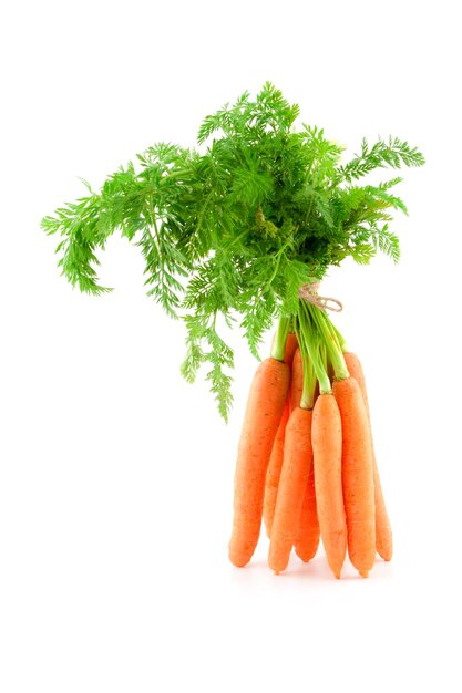 Bunch of fresh baby carrots isolated over white background