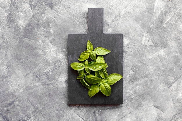 Bunch of fresh basil leaves on dark grey background