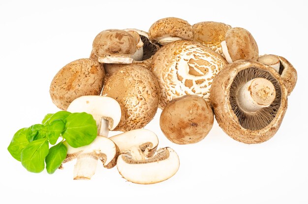 Bunch of fresh brown cultivated champignon mushrooms isolated on white background. Studio Photo.