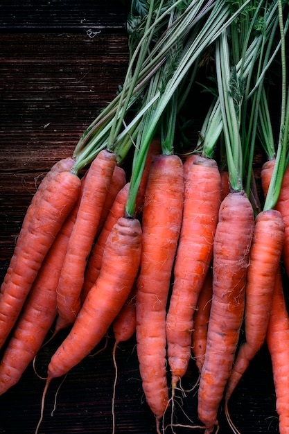 Photo bunch of fresh carrots close up