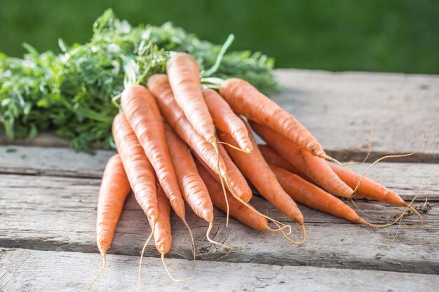 Bunch of fresh carrots freely lying on old garden board.