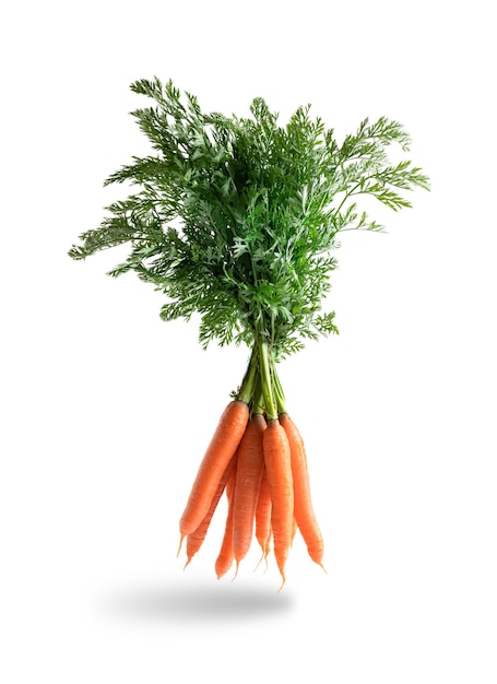 Bunch of fresh carrots, levitating isolated from the white