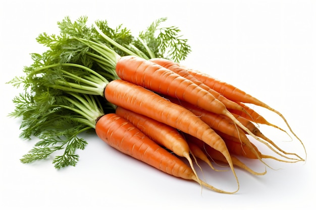 Bunch of fresh Carrots on a white background