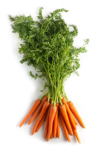 Bunch of fresh carrots on white rustic background