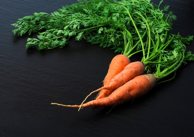 Bunch of fresh carrots with green leaves on dark surface