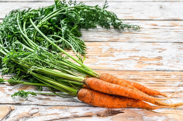 Bunch of fresh carrots with green leaves