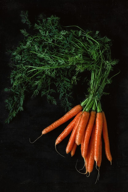 Bunch of fresh carrots