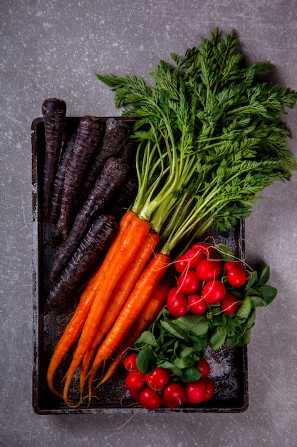 Bunch of fresh Colorful carrots with green leaves