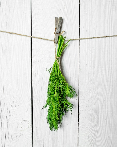 Bunch of fresh dill hanging on a string on white wooden wall