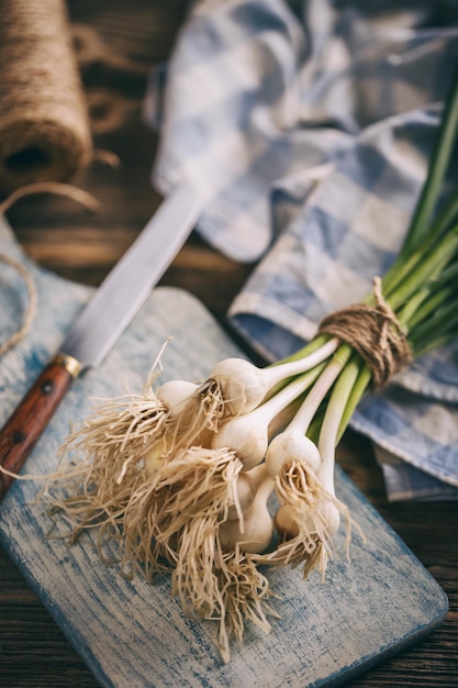 Bunch of fresh garlic