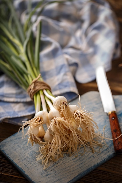 Bunch of fresh garlic