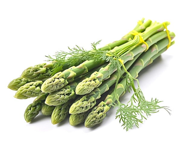 Bunch of fresh green asparagus isolated on white background Close up