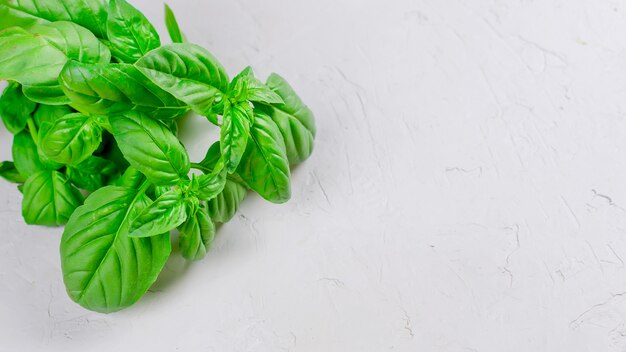 Bunch of fresh green basil on a  wood background