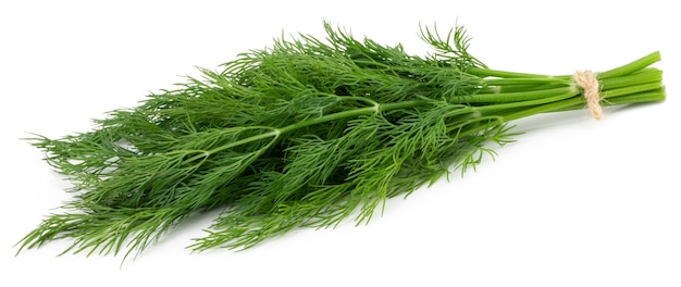 Bunch fresh green dill isolated on white background.