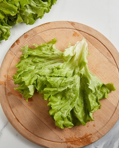 Bunch of fresh green leaves of salad