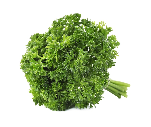 Bunch of fresh green parsley on white background