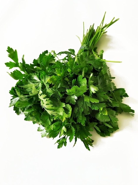 bunch of fresh green parsley on white background