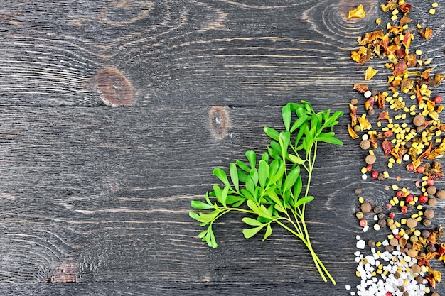 Photo bunch of fresh green rue with salt pepper fenugreek seeds against a black wooden board