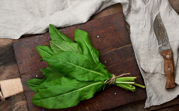 Bunch of fresh green sorrel leaves and old brown cutting board