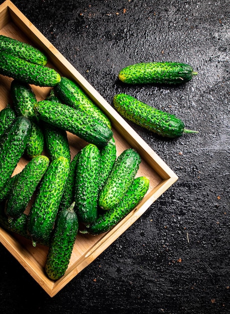 Bunch of fresh homemade cucumbers